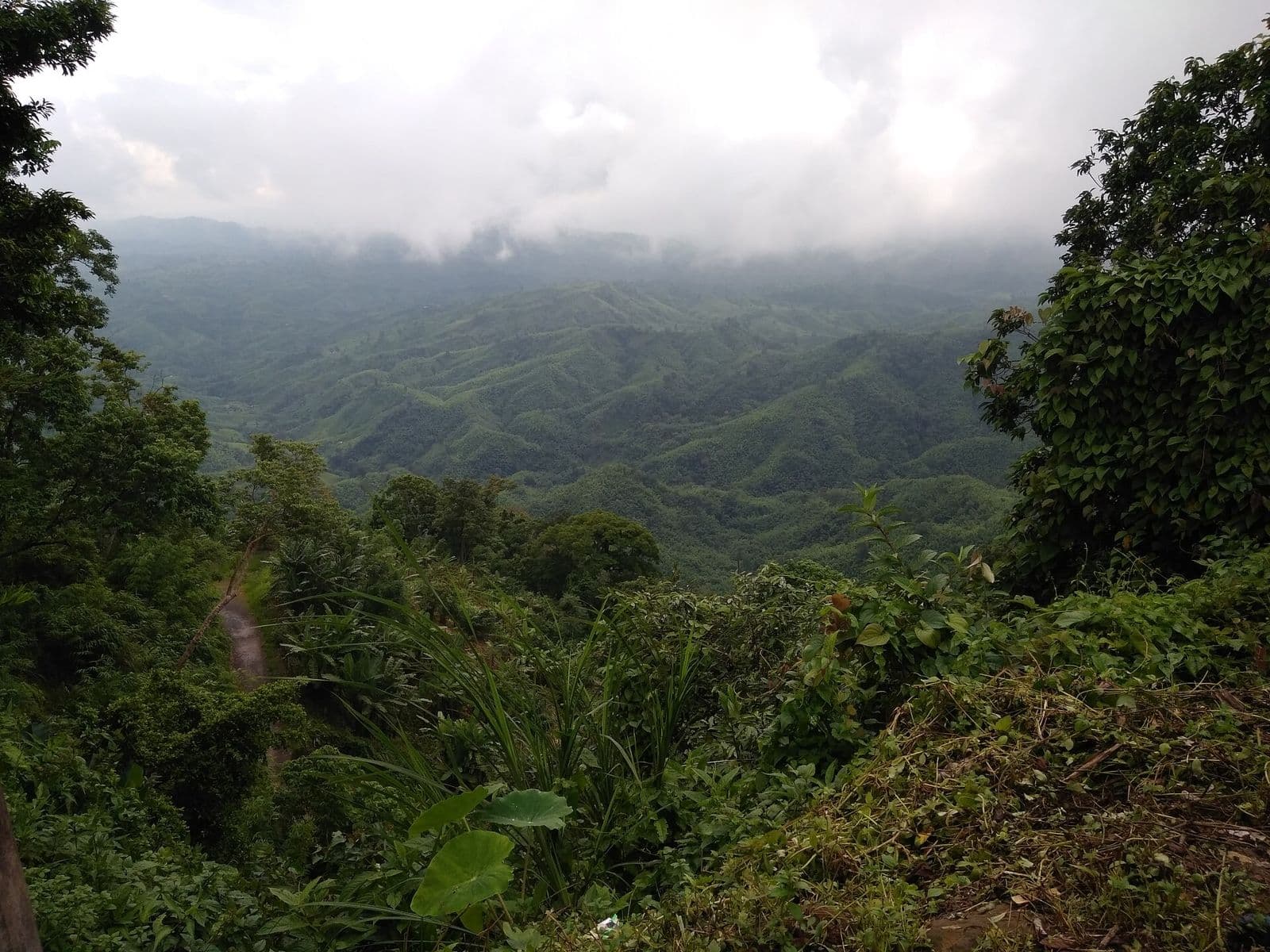 Sajek Valley, near Meghrani Eco Cottage