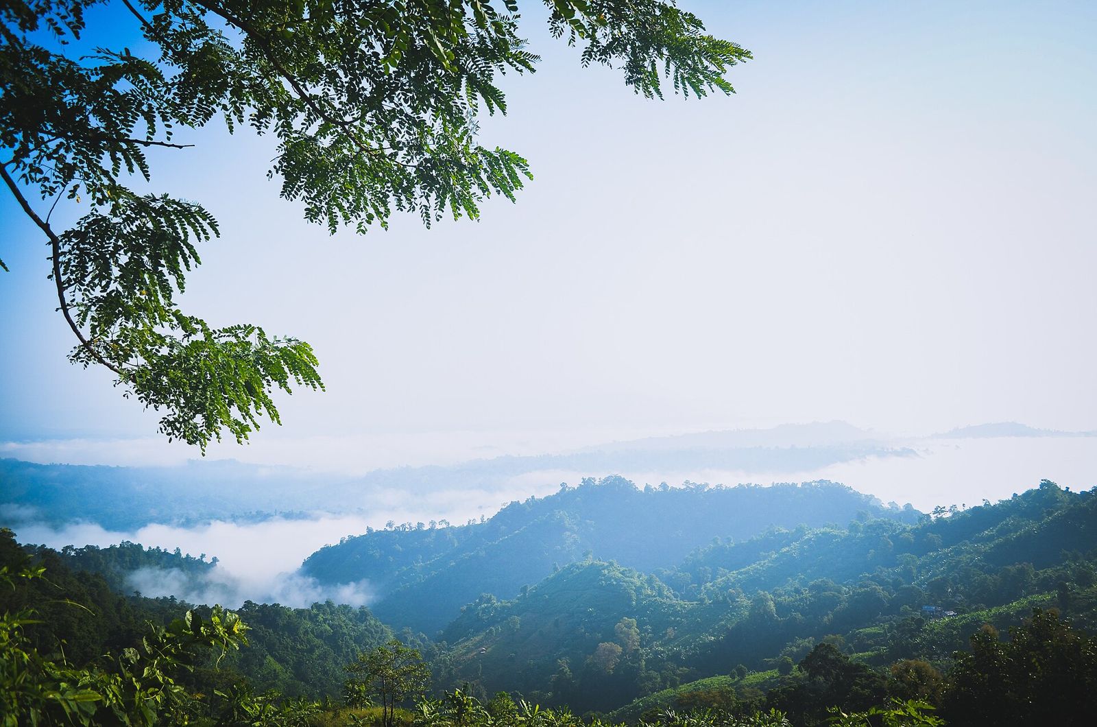 Chimbuk hill, Bandarban, near Hillside Resort Milonchhori Bandarban