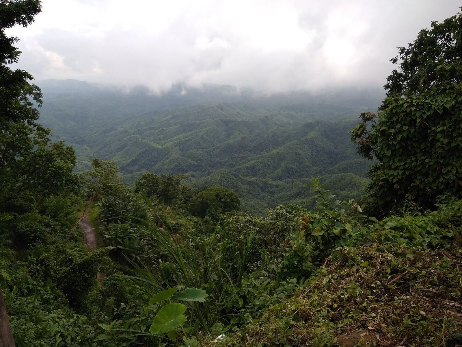 Sajek Valley, near Meghrani Eco Cottage